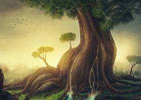 Ghid simplu de a atrage fericirea