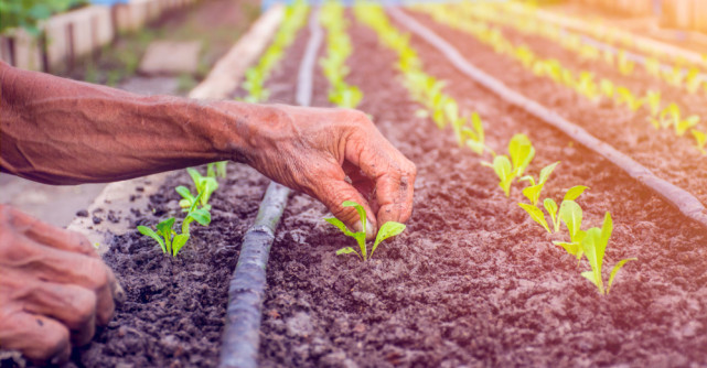 Vibratia saptamanii: MAGIE și ABUNDENȚĂ