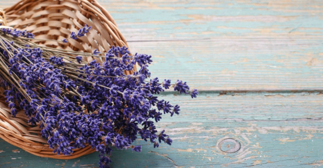 Plantele care te ajută să dormi mai bine