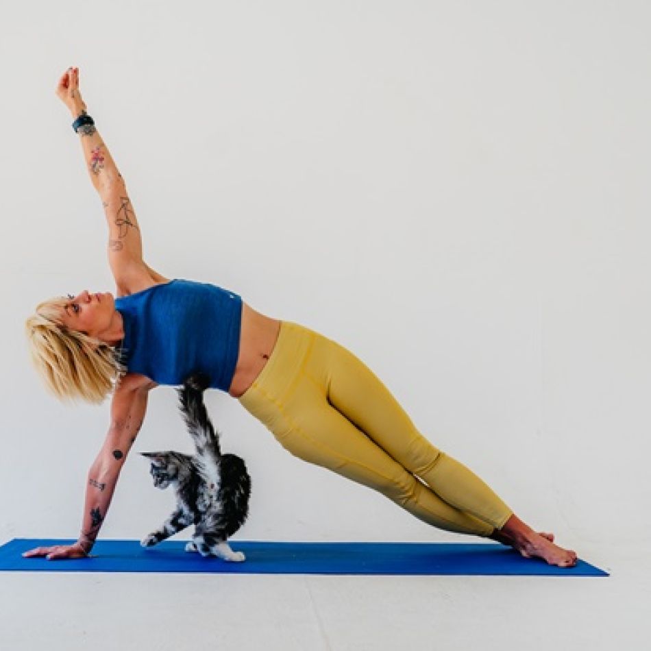 Pet Yoga: Beneficii pentru sănătatea ta și a animalului de companie