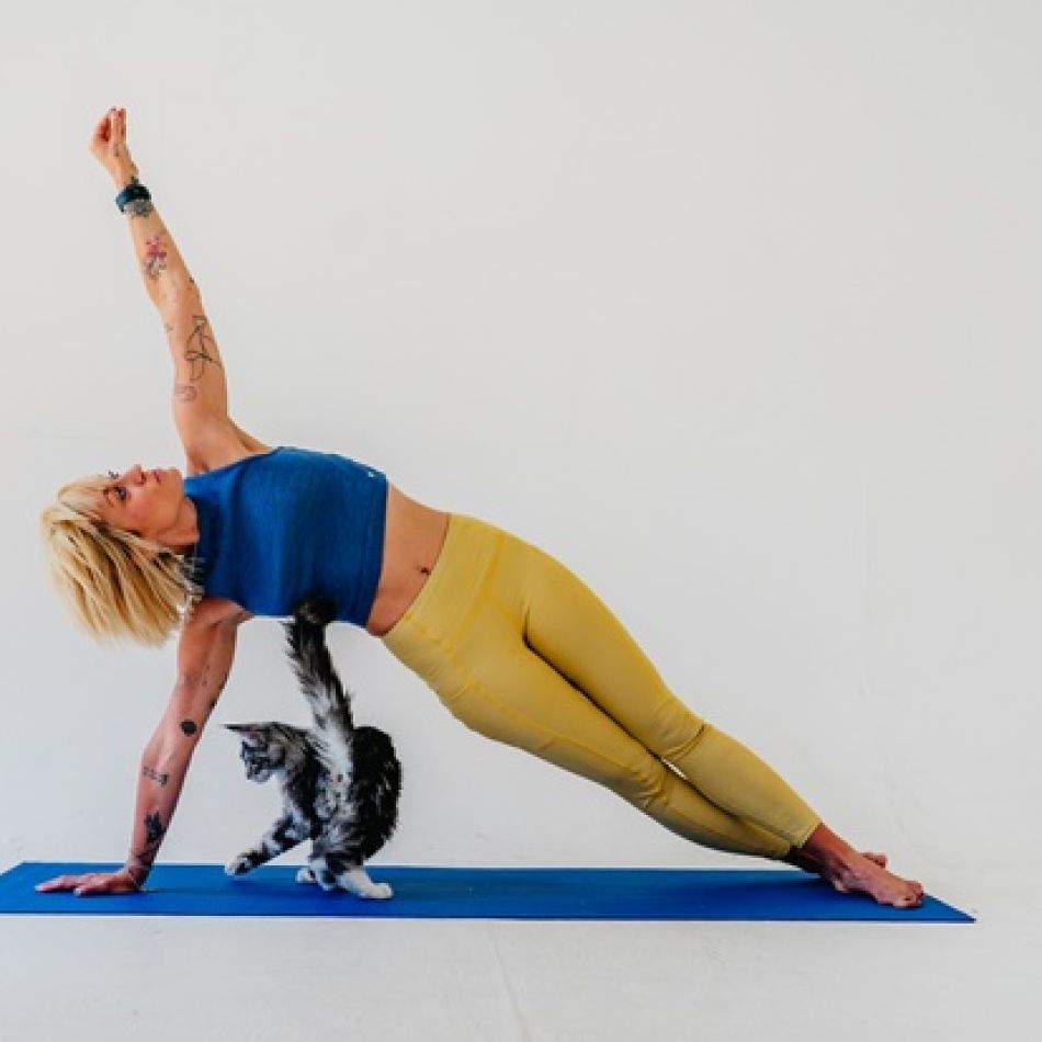 Pet Yoga: Beneficii pentru sănătatea ta și a animalului de companie