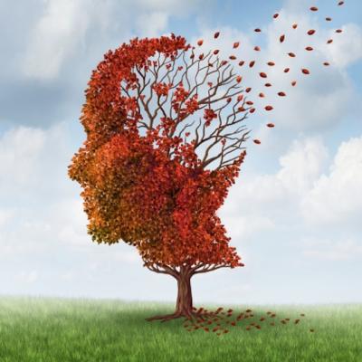 28 de curiozitati fascinante despre creierul nostru