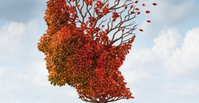 28 de curiozitati fascinante despre creierul nostru