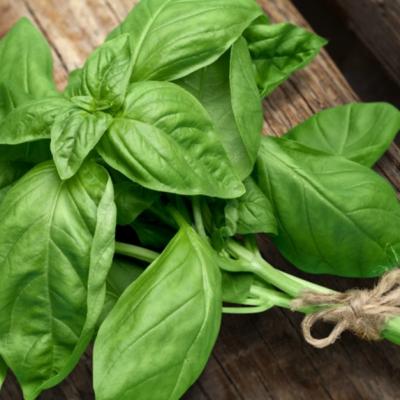 Efectele nebanuite ale busuiocului: De ce trebuie consumat mai des?