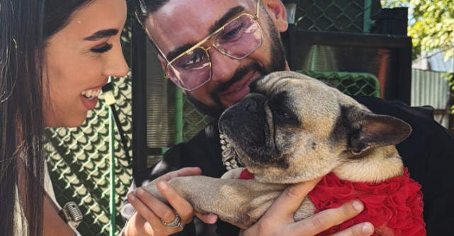 Dorian Popa și soția lui, Andreea, au adoptat un bulldog francez după moartea lui Cheluțu. Povestea emoționantă a Donei