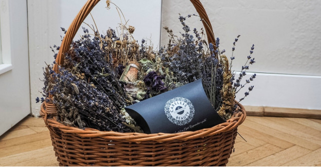 Elena Oancea, fondator Careless Beauty: ‘Cosmetica organica romaneasca merita sa fie descoperita si promovata’