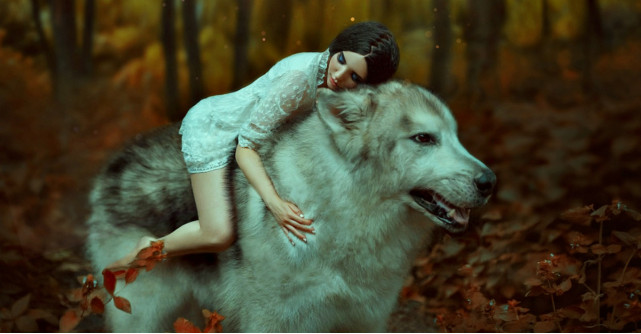 Astrologie: Animalul spiritual al zodiei tale