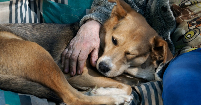  Zambeste azi si plangi maine. Citeste asta in fiecare zi
