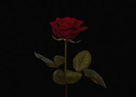 Mario Fresh lansează M-am trezit plângând, prima piesă de pe EP-ul pe care artistul îl pregătește