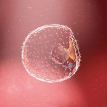 5 lucruri pe care să le faci înainte de FIV ca să fii pregătită din toate punctele de vedere