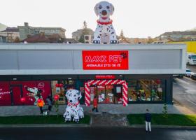 Maxi Pet reduce prețurile la până la 1000 de produse pentru animale de companie și face îngrijirea zilnică mai accesibilă