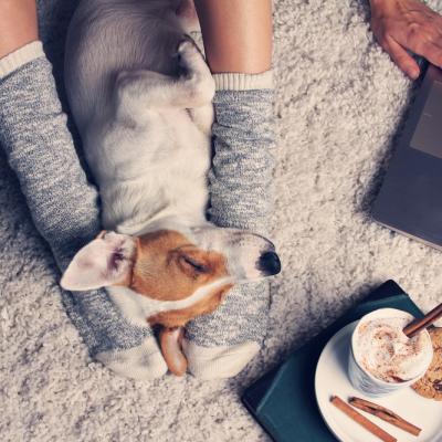 Cinci moduri simple pentru a scăpa de anxietate