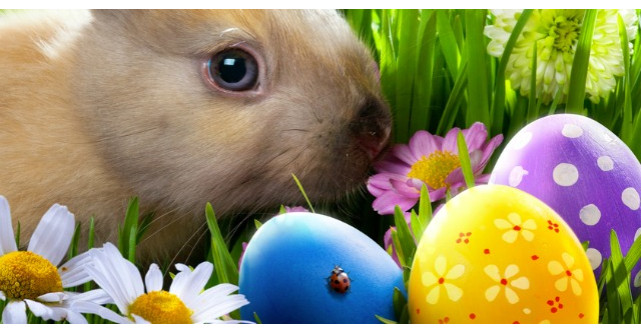 Cele mai traznite superstitii de Paste