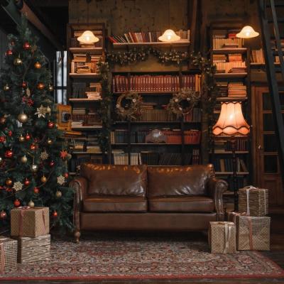 10 cărți de pus sub brad 