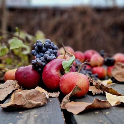 Topul alimentelor de toamnă care îți 'resetează' imunitatea înainte să înceapă valul de viroze