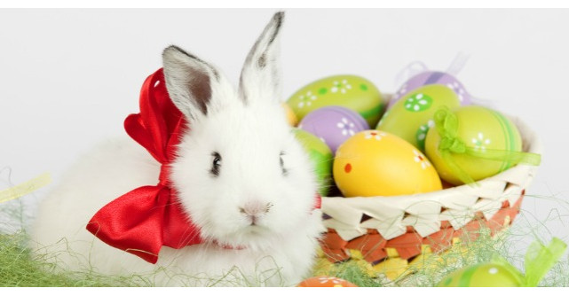 Cele mai frumoase imagini de Paste