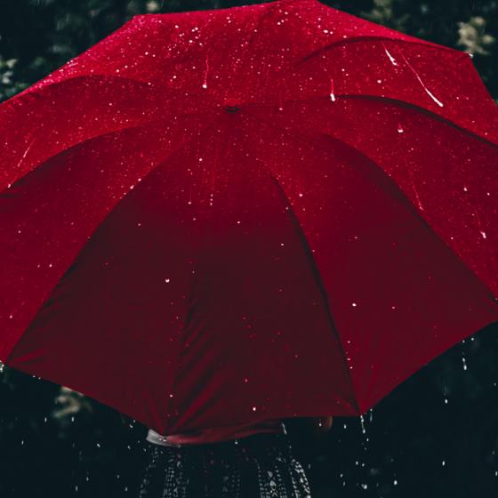 8 modele de umbrele șic pentru o lady care ține la ținuta sa și când plouă