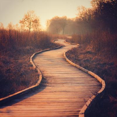 In viata nu exista coincidente