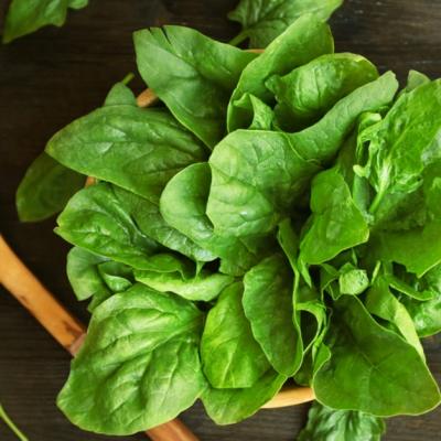 Stevia si beneficiile dietei de primavara