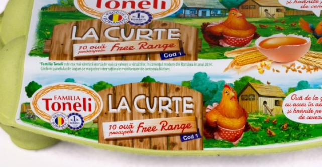 Toneli Holding - Compania care lanseaza produsul La curte 