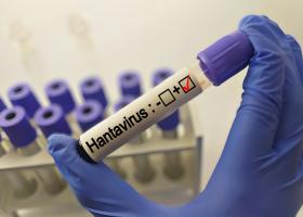 OMS recomandă 42 de zile de carantină după focarul de hantavirus de pe nava Hondius
