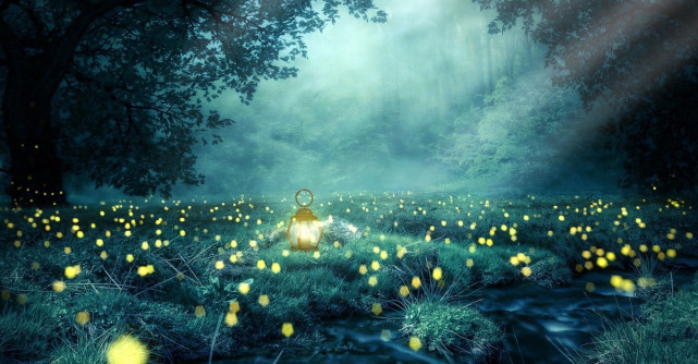 Lecții de pe patul de moarte: Tot ce contează în viață (și după) este să iubești, să râzi și să emiți lumină