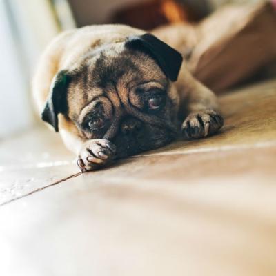 Motivul pentru care LUNI, 19 ianuarie 2015, va fi cea mai deprimanta zi a anului