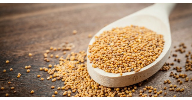 Dieta cu boabe de mustar: care sunt beneficiile ei si cate kilograme poti sa slabesti