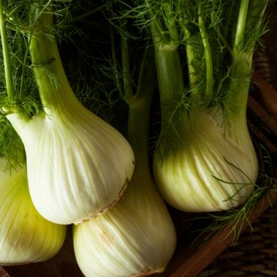 Sigur ai auzit de fenicul. Iata ce beneficii minunate are