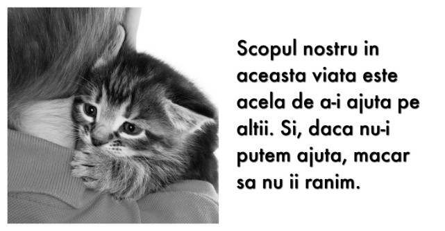 5 lucruri pe care imi doresc sa le fi stiut cand aveam 18 ani