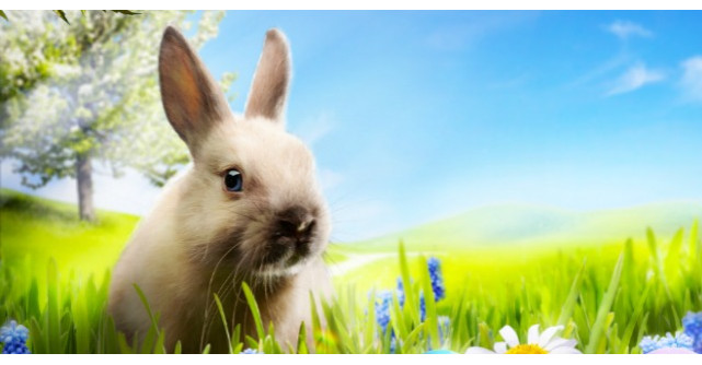 Mesaje, urari si sms de Paste