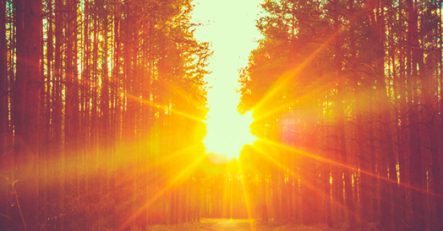 Privind soarele in fata