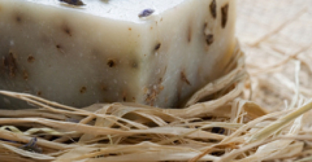 Astazi incepe programul educational Protex