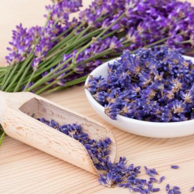 Este sezonul ei! Levănţica, planta minune