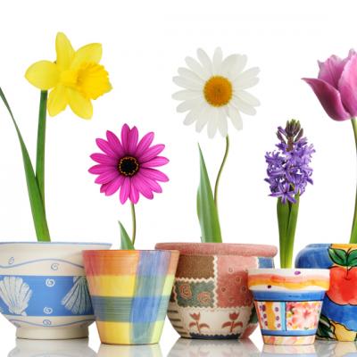 Proiectat sa reinventeze experienta gradinaritului