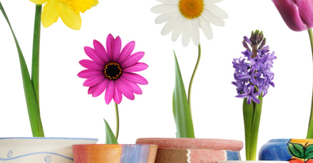 Proiectat sa reinventeze experienta gradinaritului