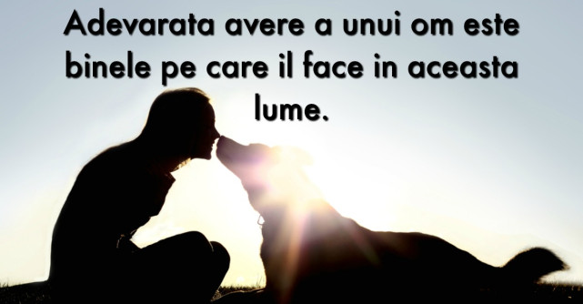 Cele 6 ingrediente ale fericirii adevarate