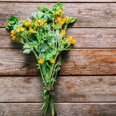 Rostopasca, darul cerului folosit in tratarea a peste 150 de afectiuni