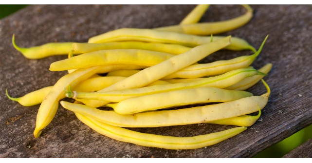 Miraculosul ceai din teci de fasole. Curata organismul de toxine