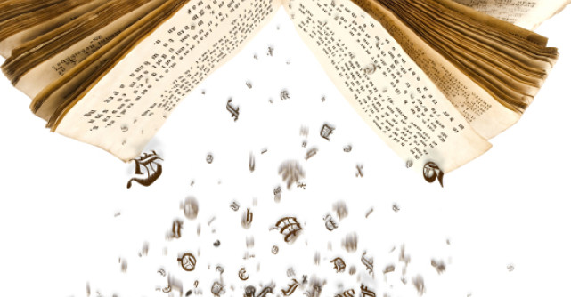 Zgomotul lucrurilor in cadere