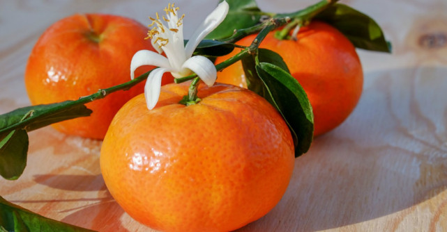 Ce fructe si legume trebuie sa mananci in februarie pentru a avea o sanatate de fier