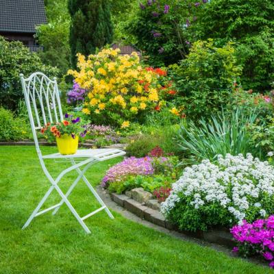 Cum să-ți pregătești grădina primăvara. 7 pași ușor de urmat