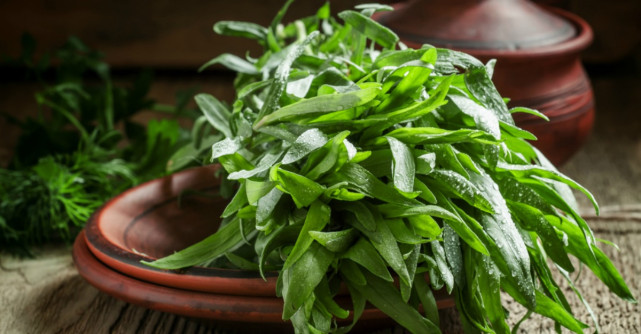 Tot ce trebuie sa stii despre tarhon, condimentul 100% romanesc