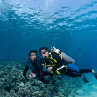 Paradisul scufundatorilor, la 2 ore de zbor