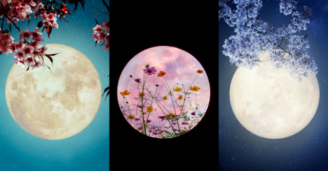 Alege o lună de primăvară și află ce ți-a pregătit Universul pentru următoarele luni