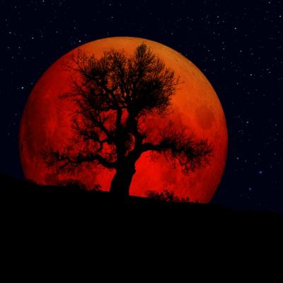 Astrologie: Pe 27 iulie Luna Sangerie ne rascoleste sufletele