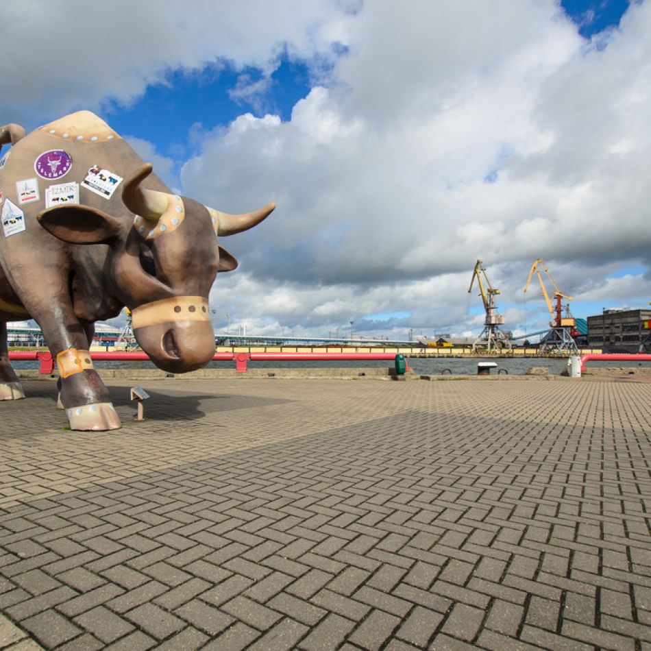 Știați că există o capitală europeană a vacuțelor? Descoperă statutele inedite din orașul Ventspils – GALERIE FOTO