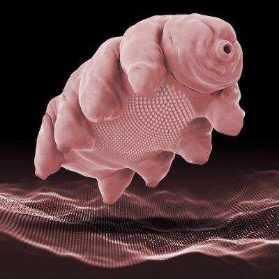 O noua descoperire: Pe fata ta traieste un microorganism cauzat de transpiratie ce se hraneste cu bacterii 