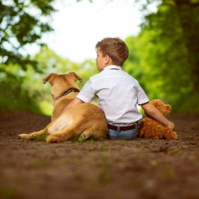 Un tanar sarac mergea prin padure dupa lemne pentru foc. In calea lui a aparut un om batran