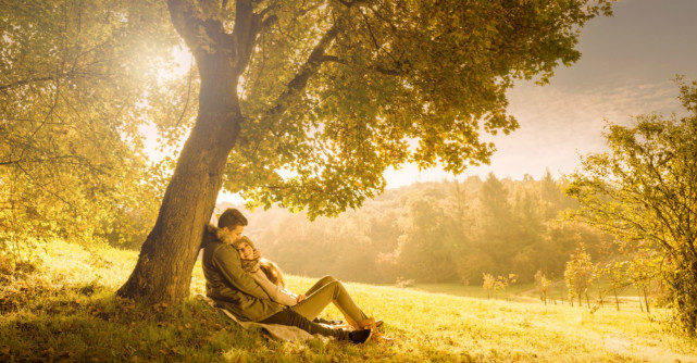 Cum functioneaza terapia de cuplu